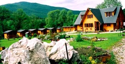 учествуваат програмата