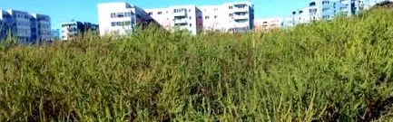 oltás