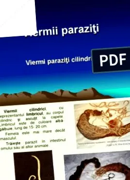 červom