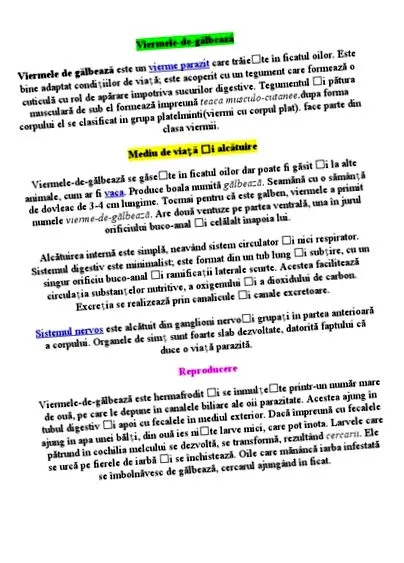 kötél