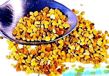 emberi test perga