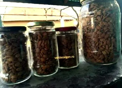 egészséges momordica