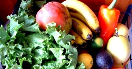 vitmatina