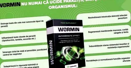 мислења wormin