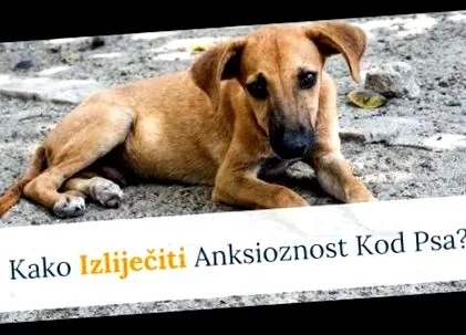 кориця вбиває