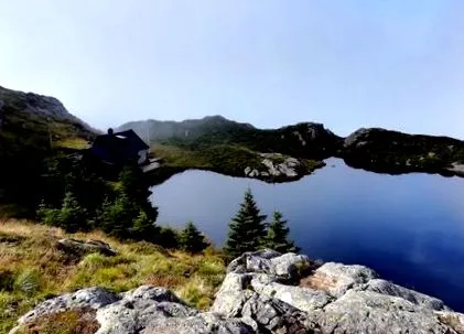 разглеждане берген