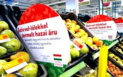 защитавай стартира