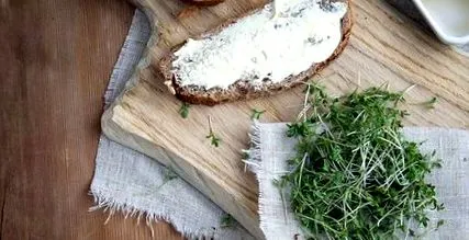 производителя можете