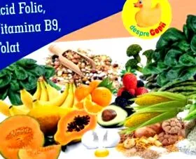 folsav fontos