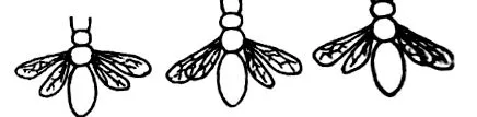 apilink