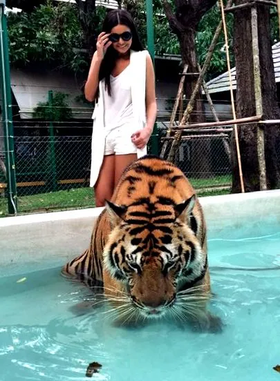 thaiföldi