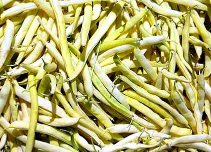fehérbabbal