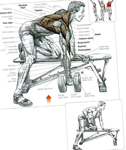 fitnesz