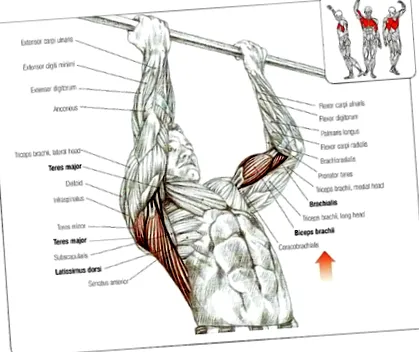 fitnesz