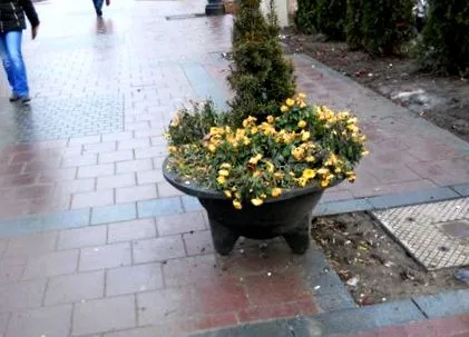 idén
