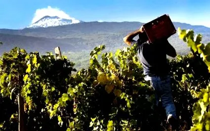 etna etna