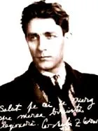 Zelea Codreanu
