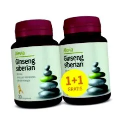 amerikai ginzeng