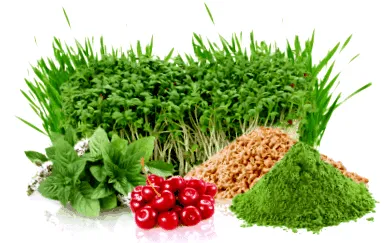biogreens