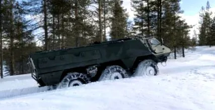 изјави