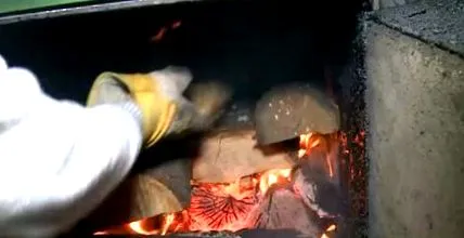 Bihor szóvivője