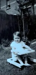 amely átveszi