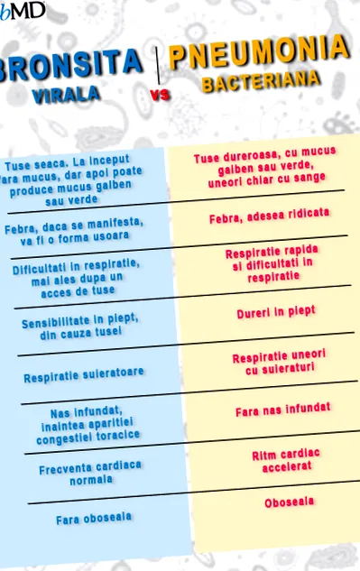 általános
