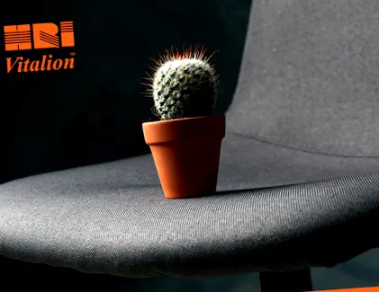 здравствени проблеми
