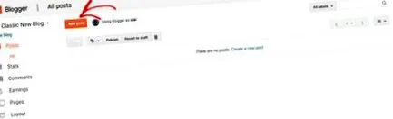 WordPress blog