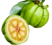 coffee green