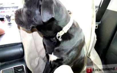 kurz