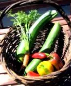 zucchini
