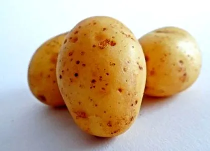 печен