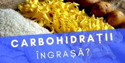 відгодовують відгодовують
