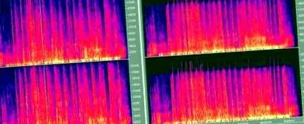 flac flac