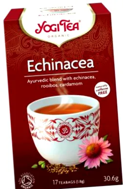echinacea echinacea