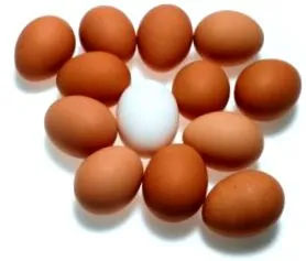 закуски