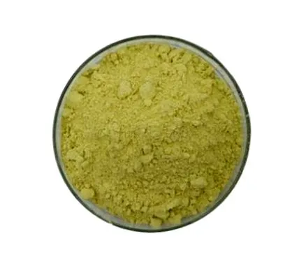 sophora sophora