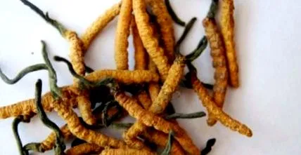 leghatékonyabb