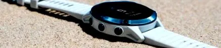 fenix