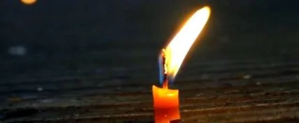 дослідники судоку