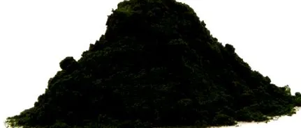 chlorella
