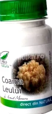oroszlán
