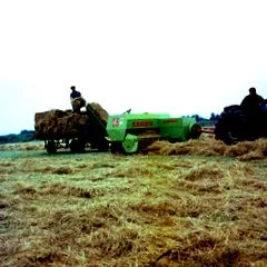 claas