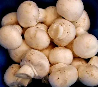 gomba