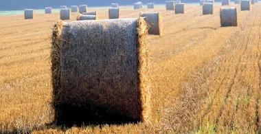 August Claas