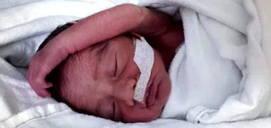 bebe