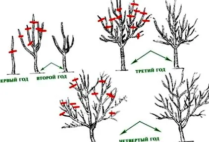 текот летото