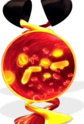 koenzým