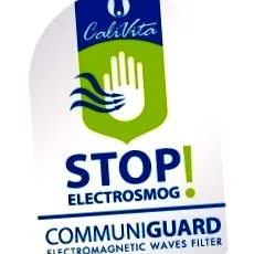 elektromágneses